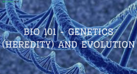 BIO 101GENETICS (HEREDITY) AND EVOLUTION