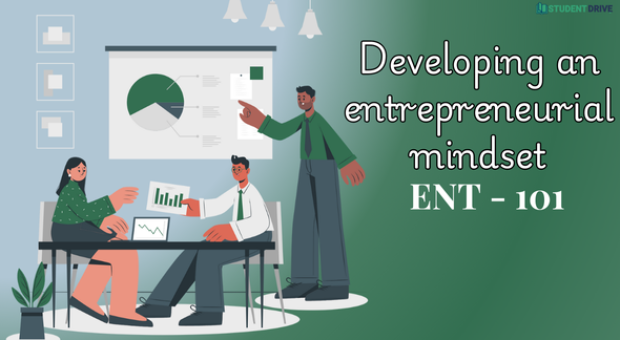 ENT - 101 - Developing an entrepreneurial mindset